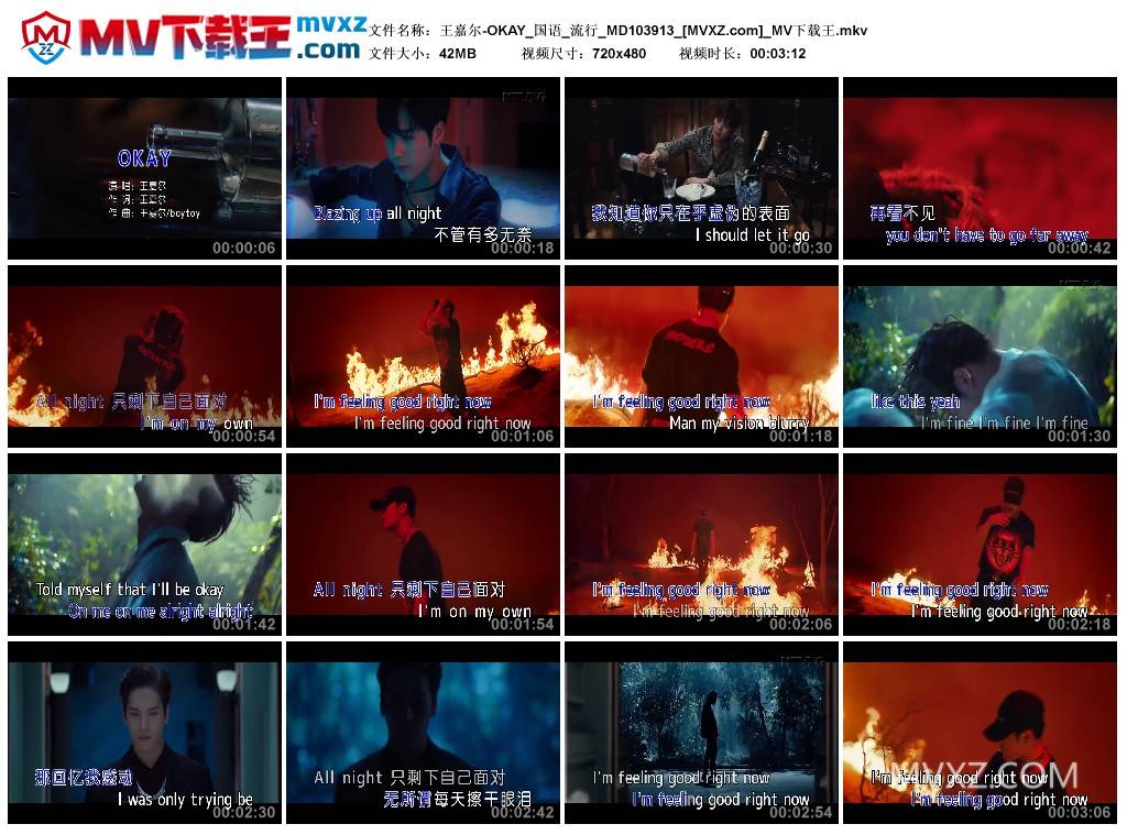 王嘉尔-OKAY_国语_流行_MD103913